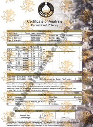 CBD Knospen: Green Hornet – Bild 4