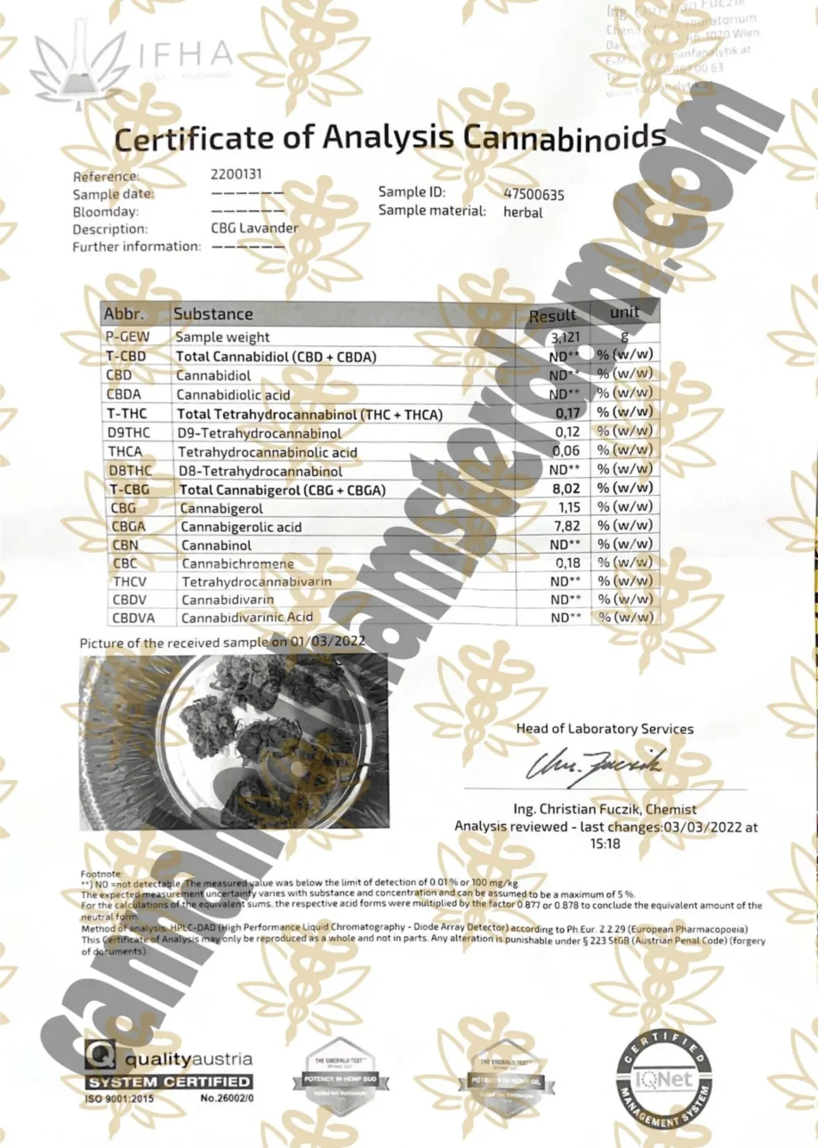 Get Beezy CBG-CBD - Gemahlene Hanfblüte - 20g – Bild 3