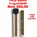 Pack of 5 THCp Blunts - Filled with  2 grams