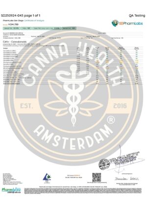 VEGAN GUMMY: GRÜNER APFEL - Vollspektrum 50 mg – Bild 2