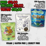 Vegan Cannabinoid Gummy Bundle – CBD, CBG & CBN Gummies